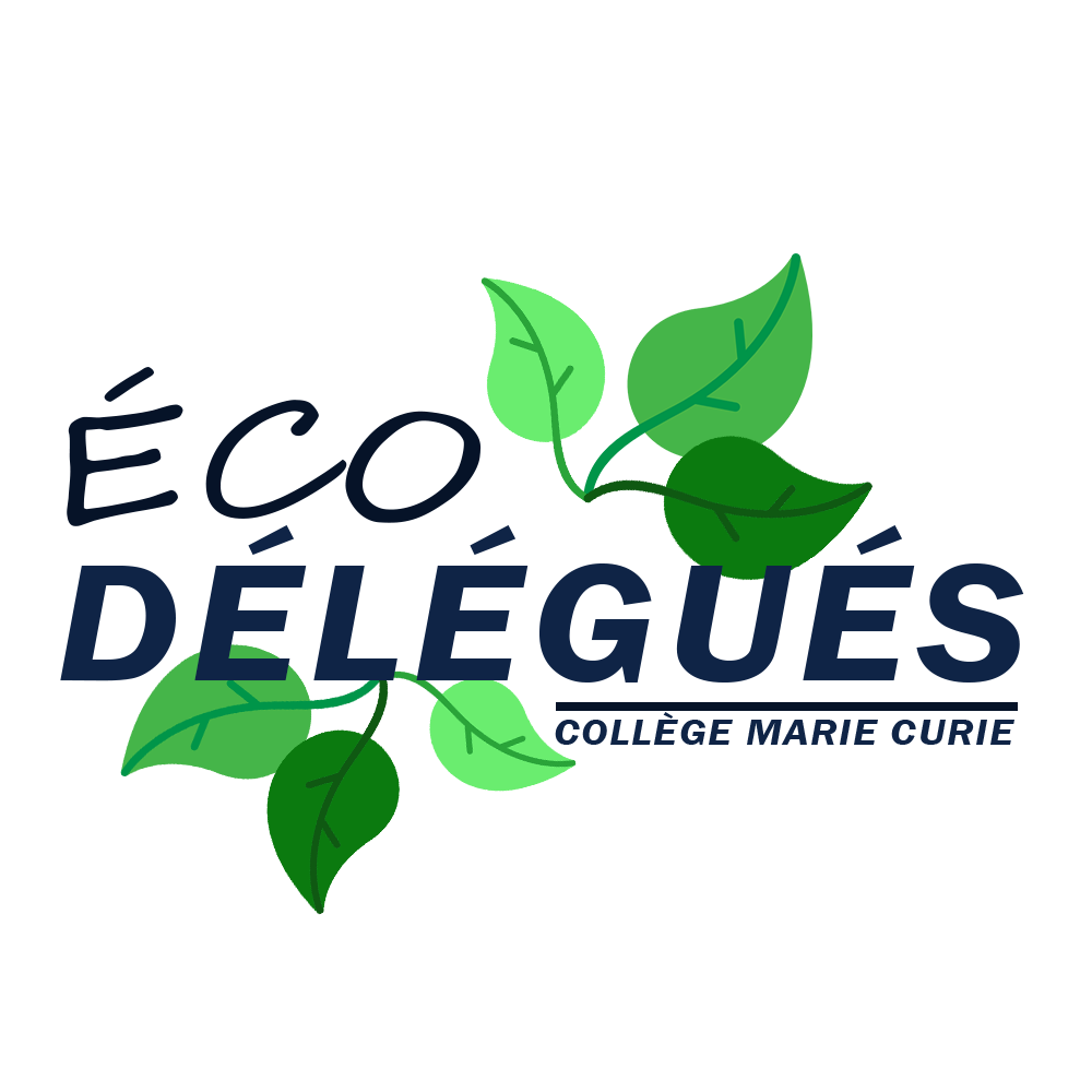 logo réalisé par Sullivan 