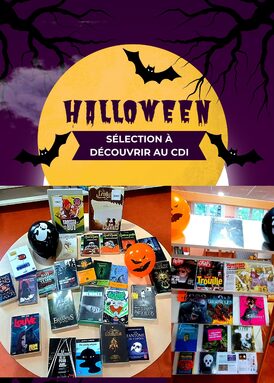 Affiche docs Halloween.jpg